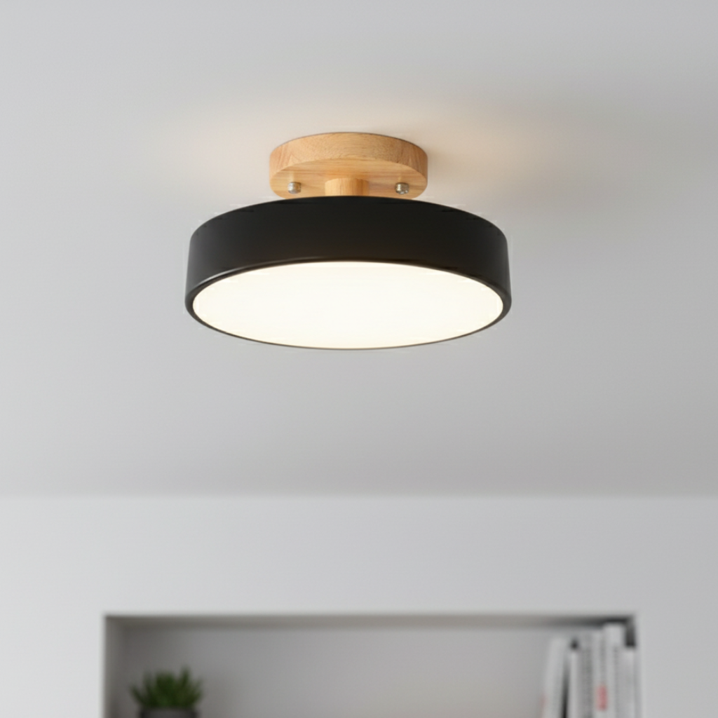 Acorn ceiling light close up