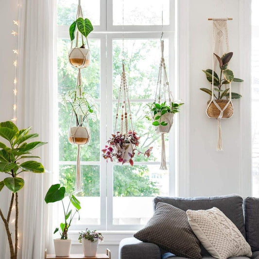 Macrame Plant Hangers, Set of Four
