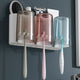 Wall Mounted Toothbrush Shelf