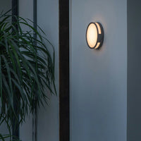 Vardo round outdoor wall light on a pale exterior wall beside trailing greenery