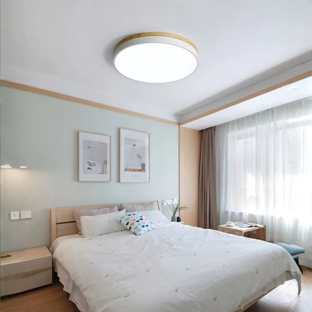 Horizon Ultra-Thin Ceiling Light