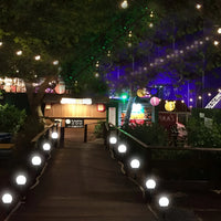 Orbit Solar Pathway Light Trio