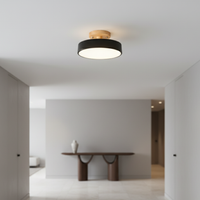 Acorn ceiling light wood cap