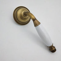 Brass Finish Handheld Shower Set 23cm