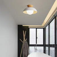 Glass Dome Ceiling Light 30cm