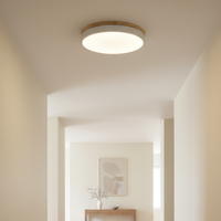 Horizon Ultra-Thin Ceiling Light
