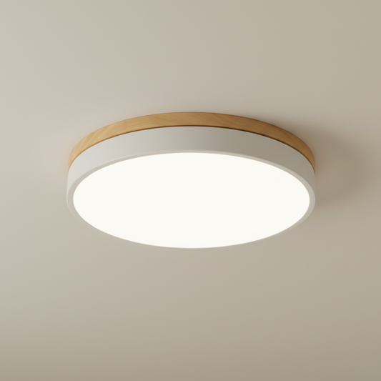 Horizon Ultra-Thin Ceiling Light
