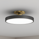Datum Two-Tone LED Ceiling Light