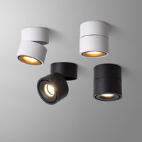 Adjustable LED ceiling spotlight