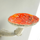 Mushroom Floating Wall Shelf 10.5cm