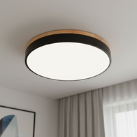 Horizon Ultra-Thin Ceiling Light