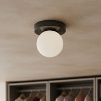 Frosted Globe Wall & Ceiling Light