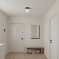 Frosted Globe Wall & Ceiling Light