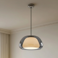 Tinted Glass Dome Pendant Light