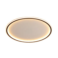 Slim Disc LED Ceiling Light, 40 to 60cm