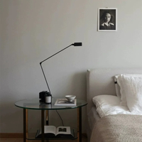 PivotLamp Adjustable LED Desk Lamp