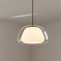 Tinted Glass Dome Pendant Light