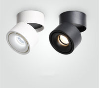 Spotlight finish options
