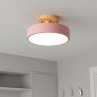 Acorn ceiling light bedroom