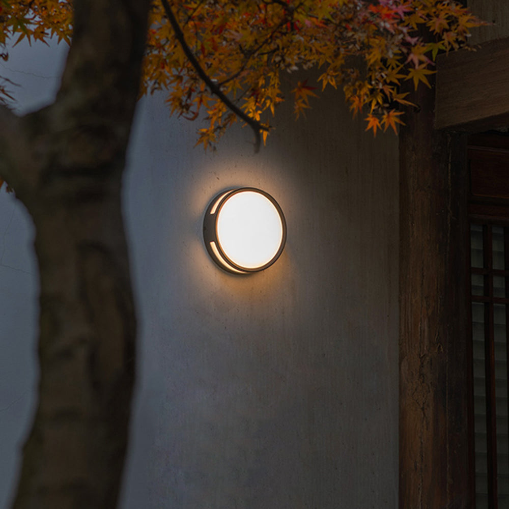 Vardo outdoor wall light mounted on a rendered courtyard wall beneath an acer tree at dusk