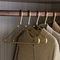 Solid Metal Clothes Hangers, Set of Five