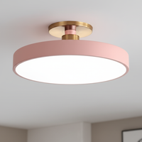Datum Two-Tone LED Ceiling Light
