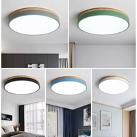 Horizon Ultra-Thin Ceiling Light