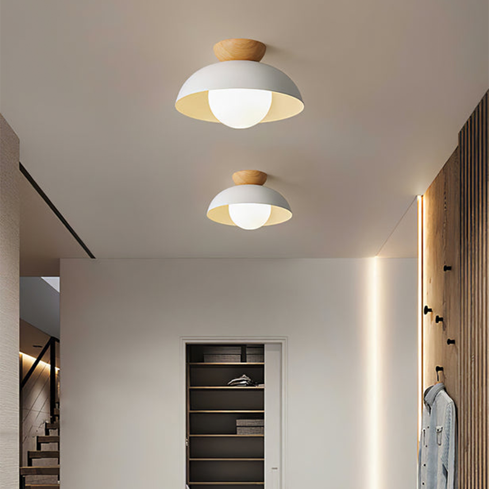 Glass Dome Ceiling Light 30cm