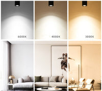 Tilting Aluminium Ceiling Spotlight