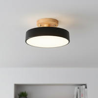 Acorn ceiling light close up