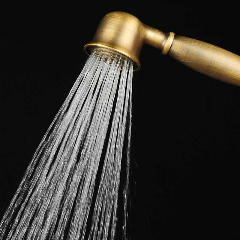 Brass Finish Handheld Shower Set 23cm