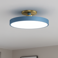 Datum Two-Tone LED Ceiling Light
