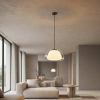 Tinted Glass Dome Pendant Light