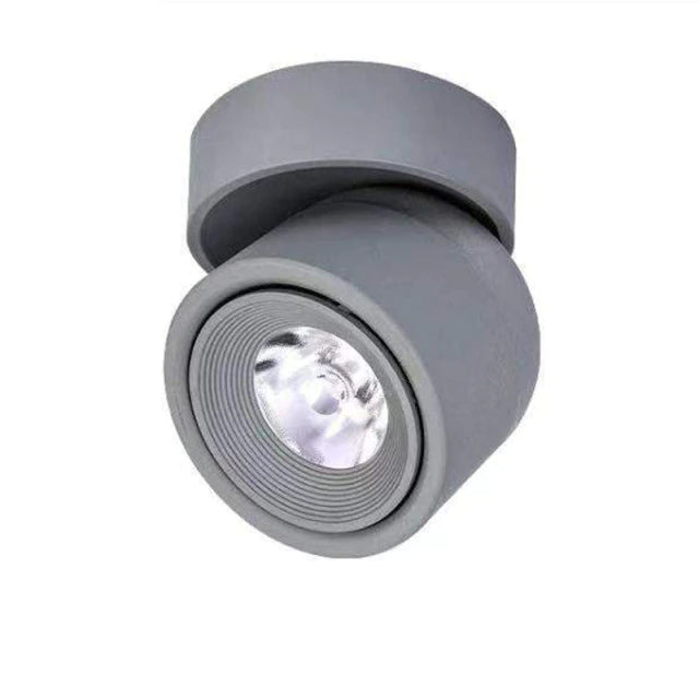 Spotlight mounted