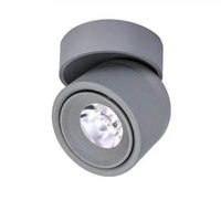 Spotlight mounted
