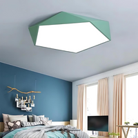 Dimmable LED Ceiling Light 30cm