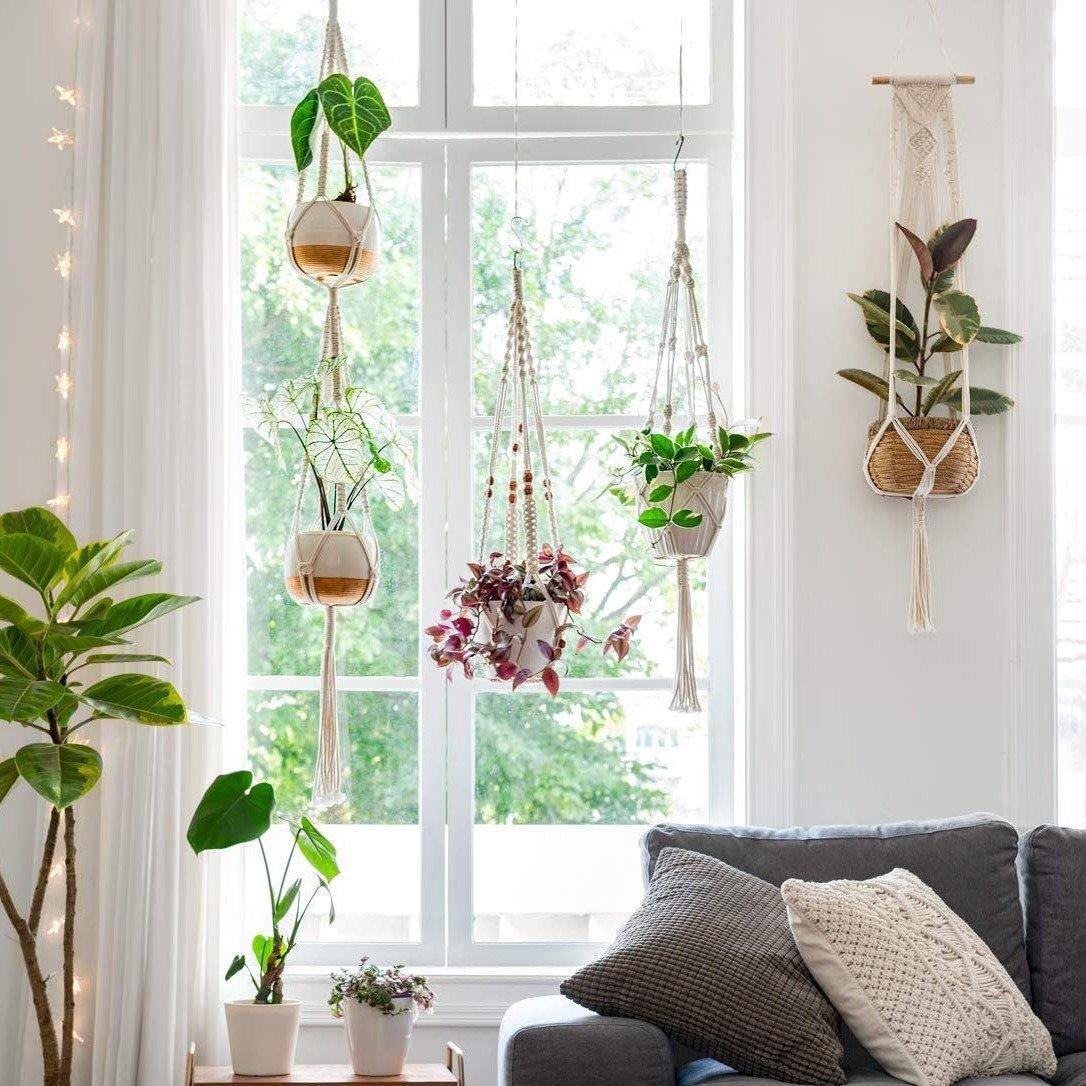 Macrame Plant Hangers, Set of Four