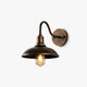 Lockhone Bolva bowl outdoor wall light in antique brass with gooseneck arm and exposed filament bulb on a plain white background
