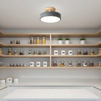 Acorn ceiling light in room