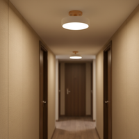 Acorn flush mount ceiling light detail