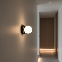 Frosted Globe Wall & Ceiling Light