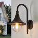 Dafo antique outdoor wall light in patinated black on a plain white background showing the swan neck arm and bell shade