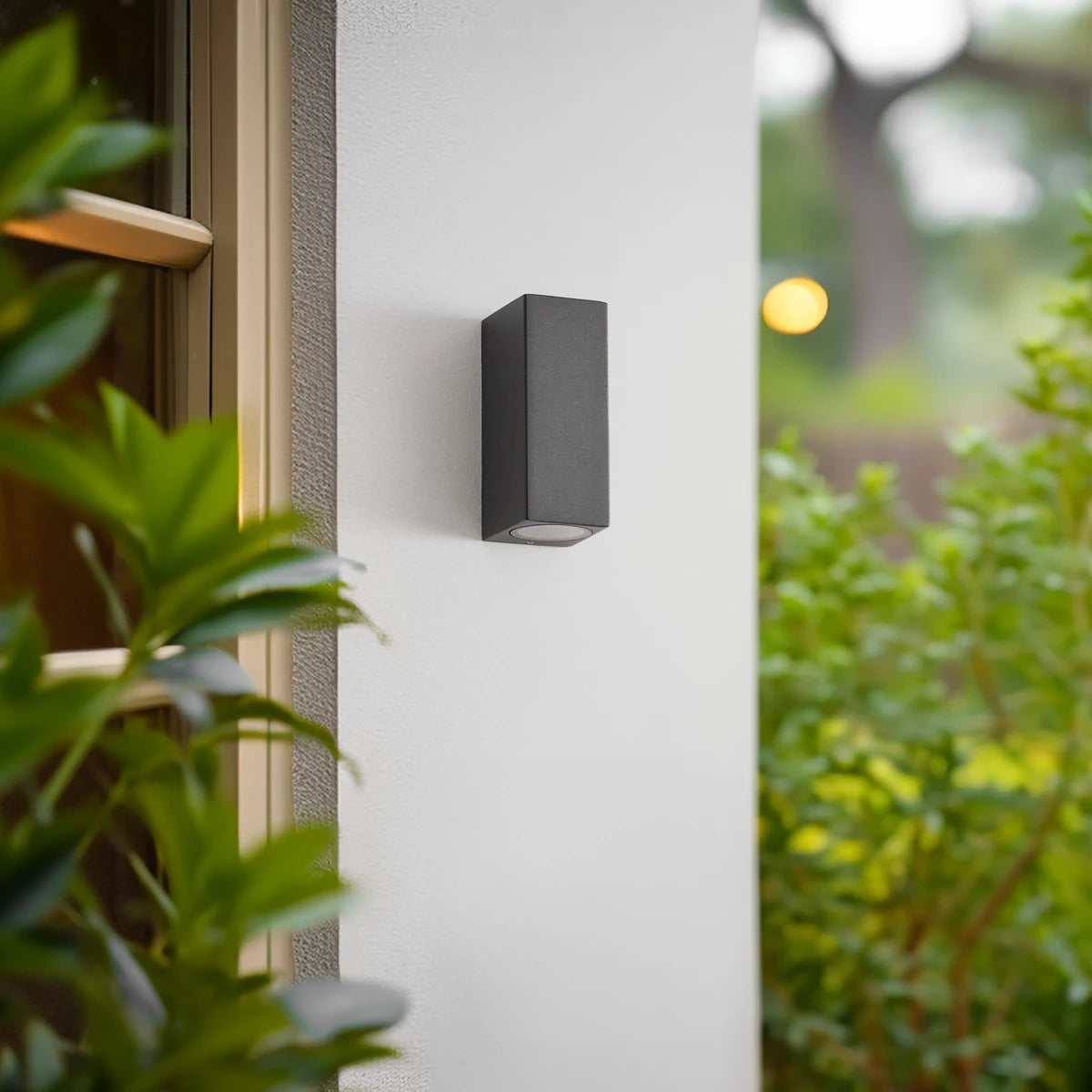Xato wall light unlit on a pale exterior wall next to garden planting