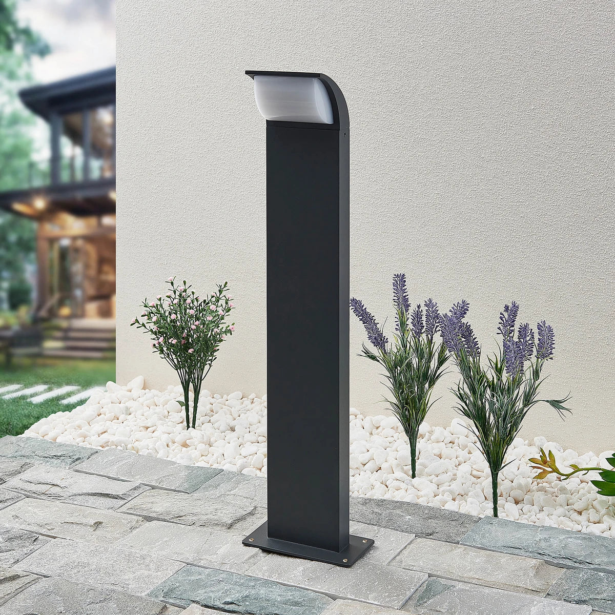 Tilo pedestal light on a paved path next to lavender and white gravel