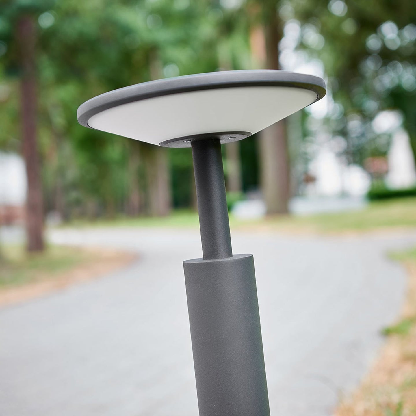 Detail of the Feno path light head and stem against a blurred garden background