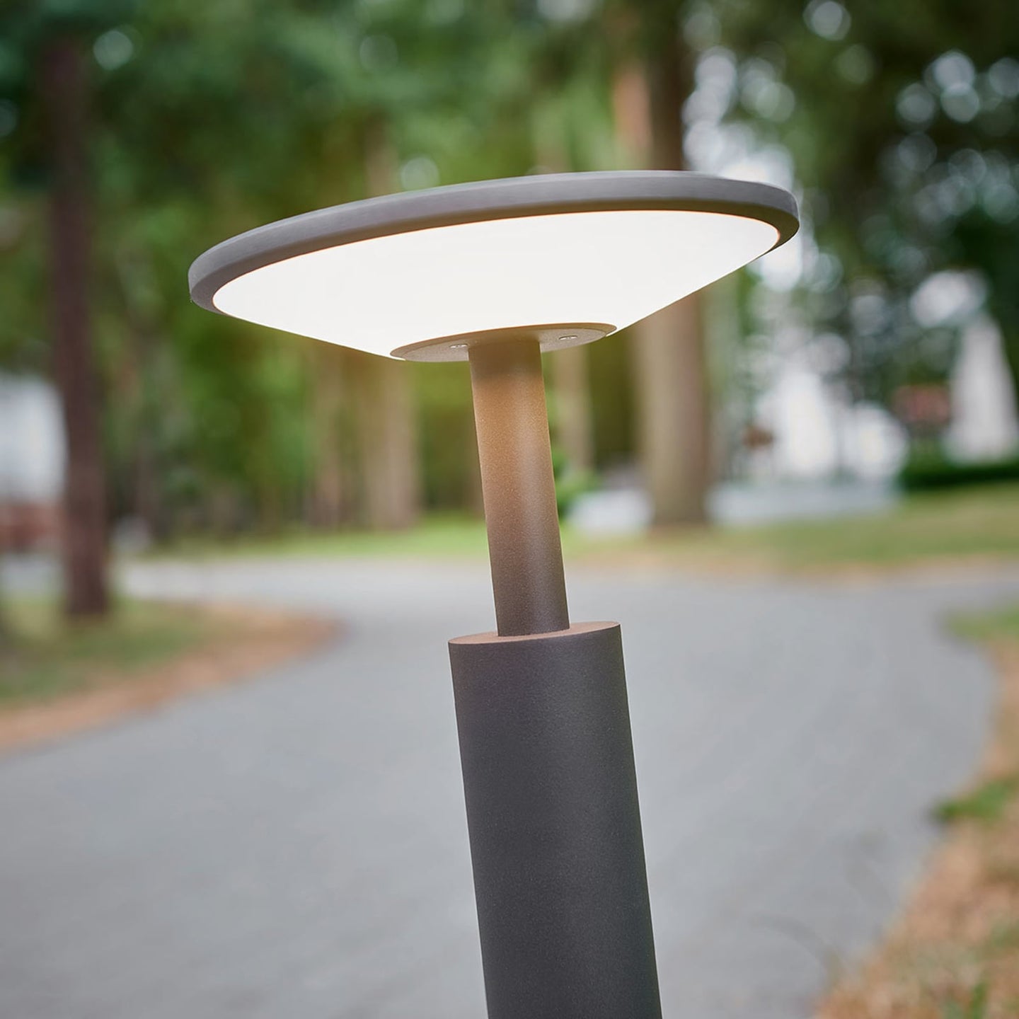 Close-up of the Feno disc head lit, showing the white diffuser below the anthracite top plate