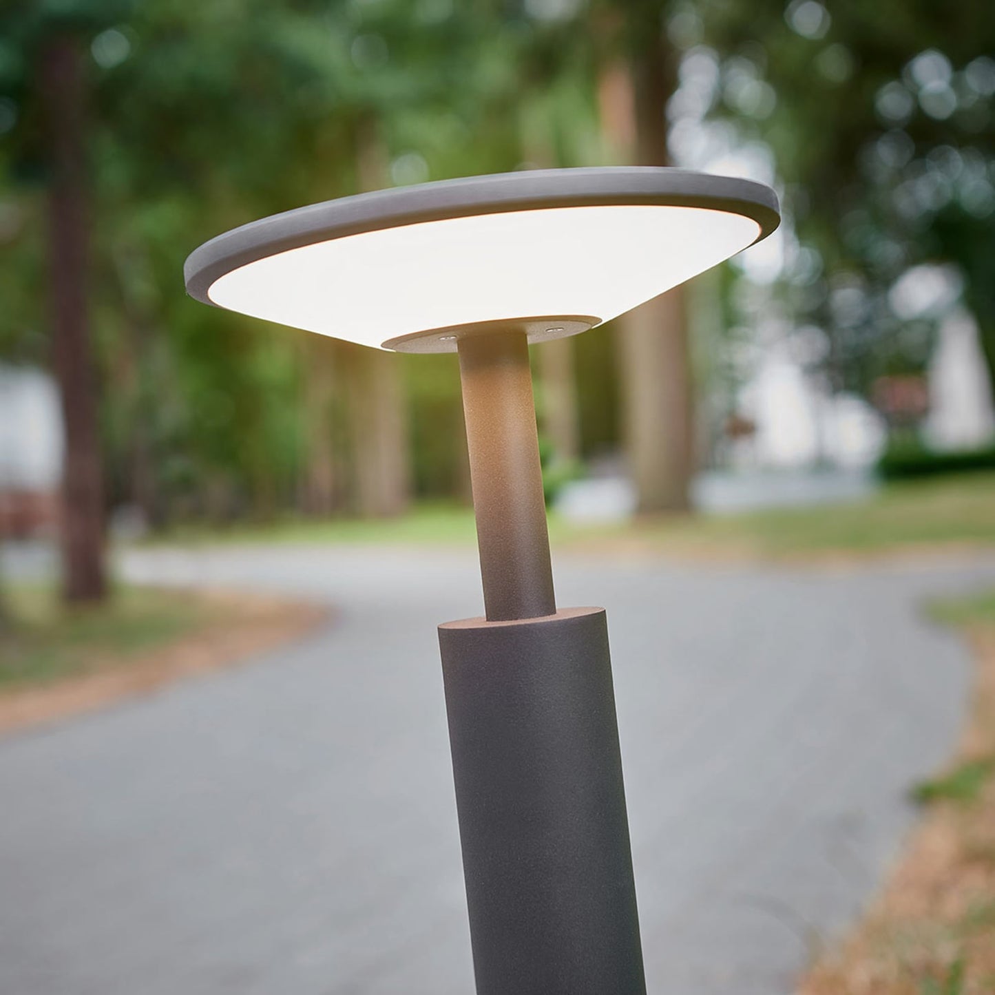 Close-up of the Feno disc head lit, showing the white diffuser below the anthracite top plate