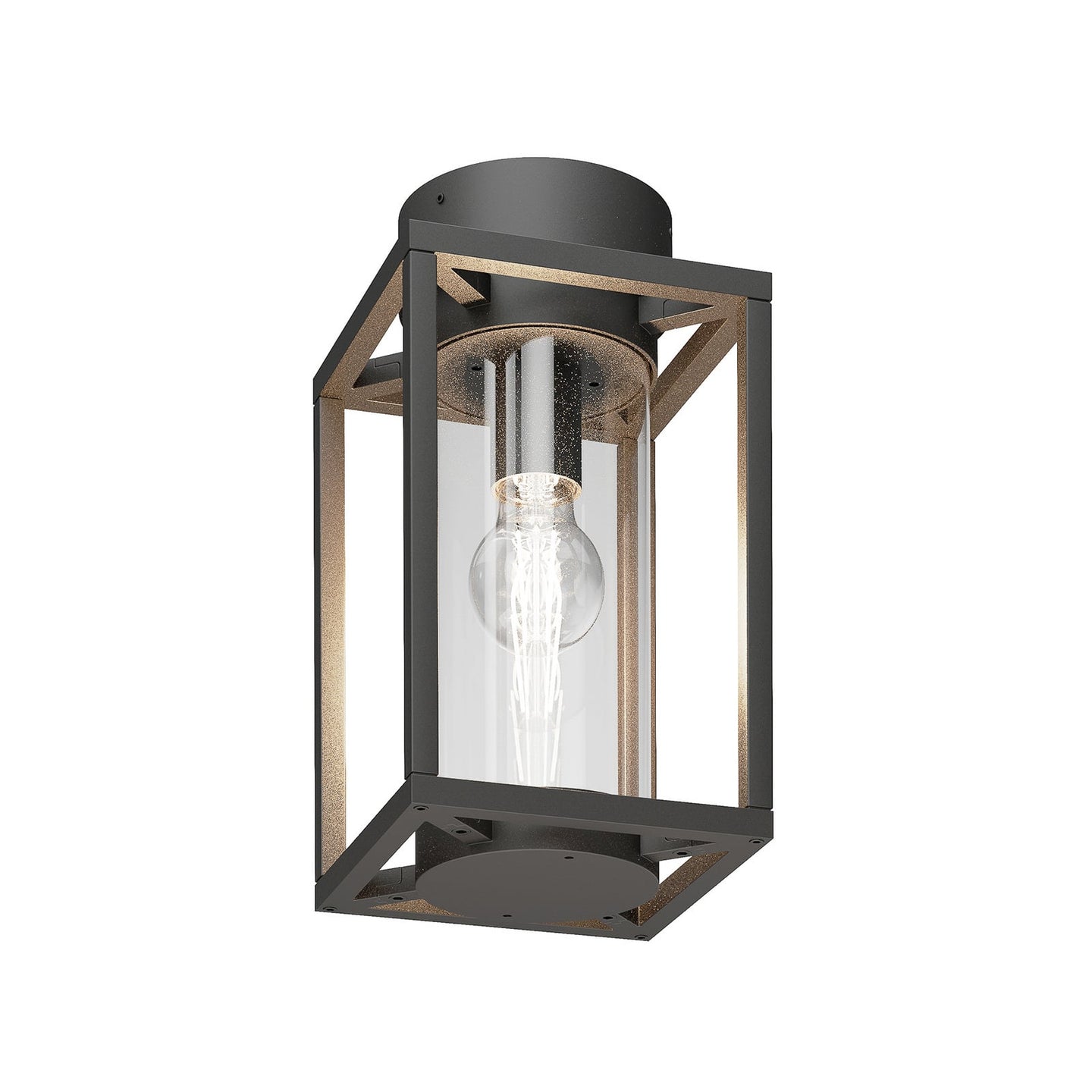 Vesa caged glass outdoor ceiling light in anthracite with clear glass cylinder, plain white background