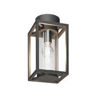 Vesa caged glass outdoor ceiling light in anthracite with clear glass cylinder, plain white background