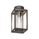Vesa caged glass outdoor ceiling light in anthracite with clear glass cylinder, plain white background